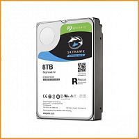 Жесткий диск (HDD) Seagate SkyHawk AI ST10000VE0004