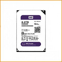 Жесткий диск (HDD) Western Digital Purple 8Tb WD80PURZ
